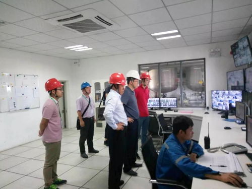 中国纸业总经理张强赴华新包装珠海工厂开展环保督察暨安全生产检查